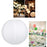 LIHAO 8" Papierlaterne Weiße Papier Laterne Lampions Rund Lampenschirm Hochtzeit Party Dekoration Ballform (10er Packung)