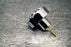 Universal Handratsche 4-15mm/5/32-9/16 Multi Fingerknarre Fingerratsche